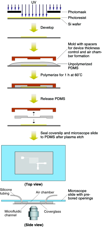 FIG. 2.