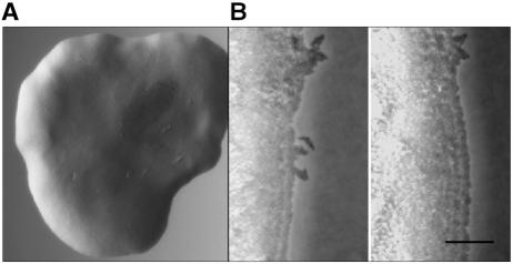 FIG. 5.