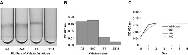 FIG. 7.