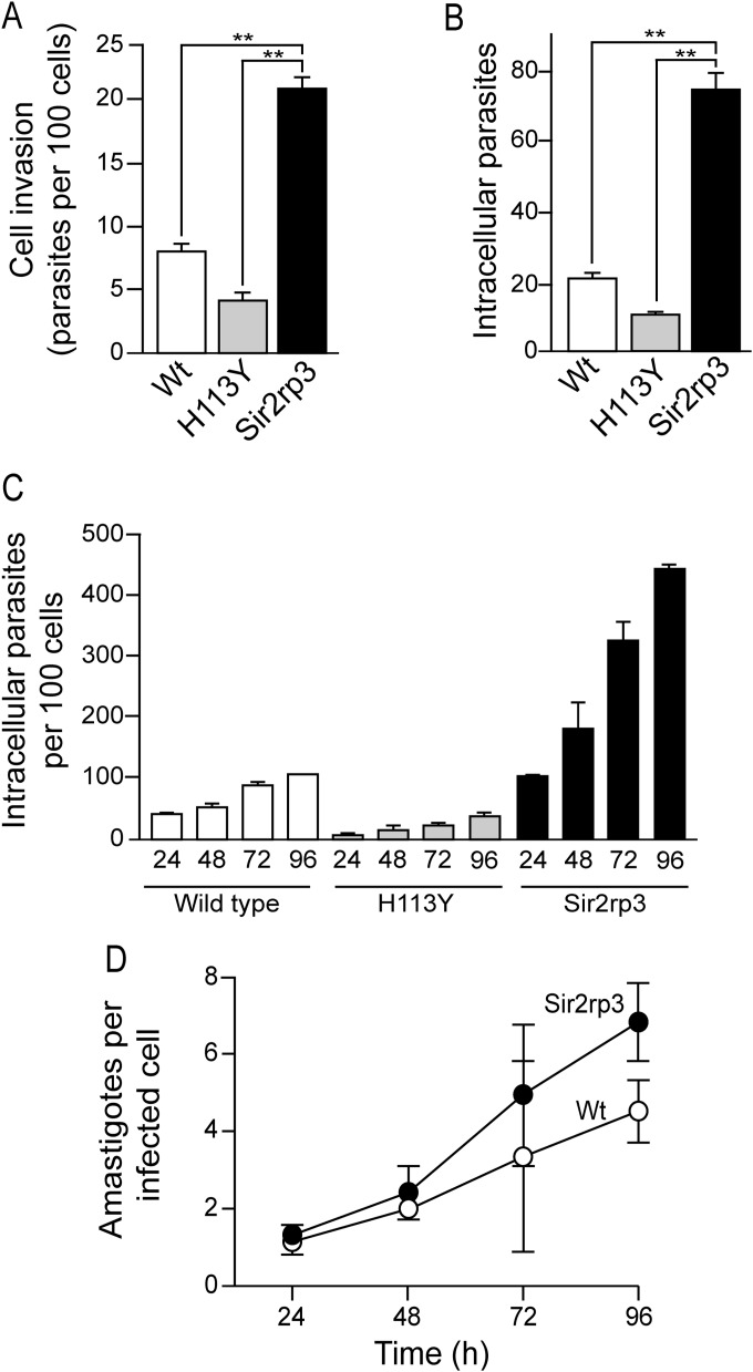 FIG 6