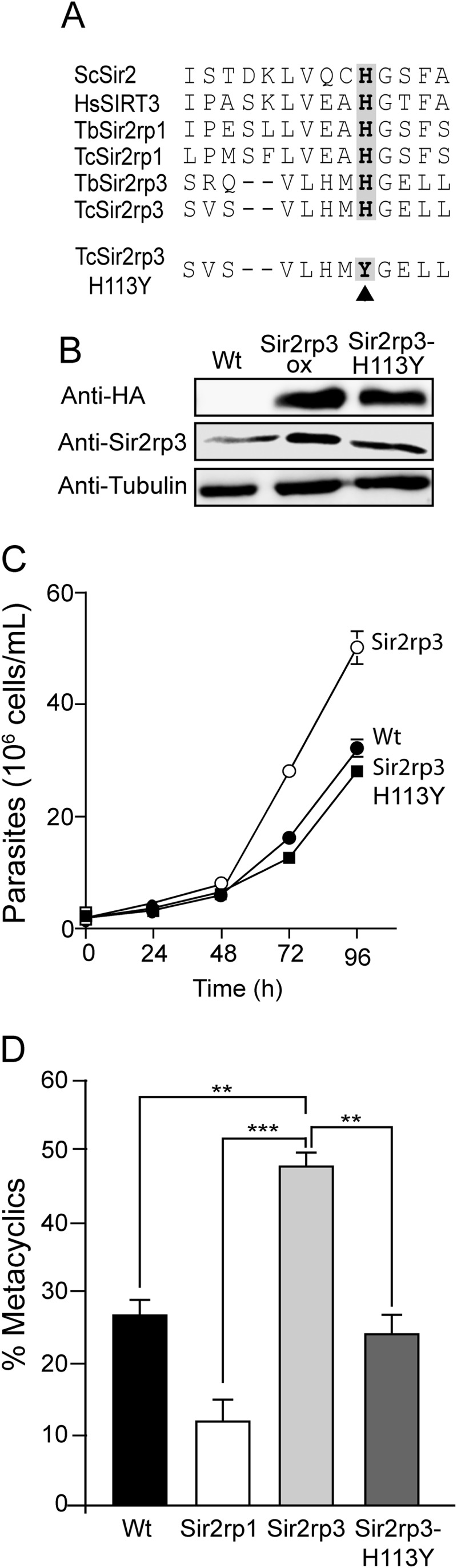 FIG 5