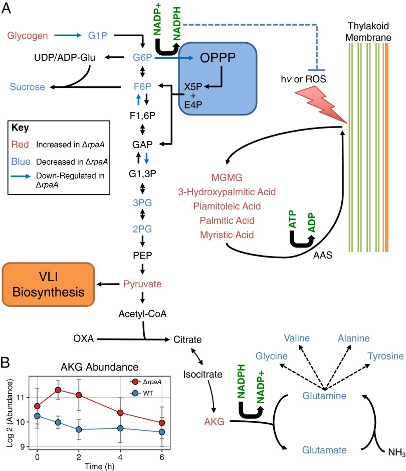 Fig. 3.