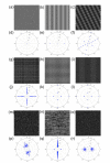 Fig. 10