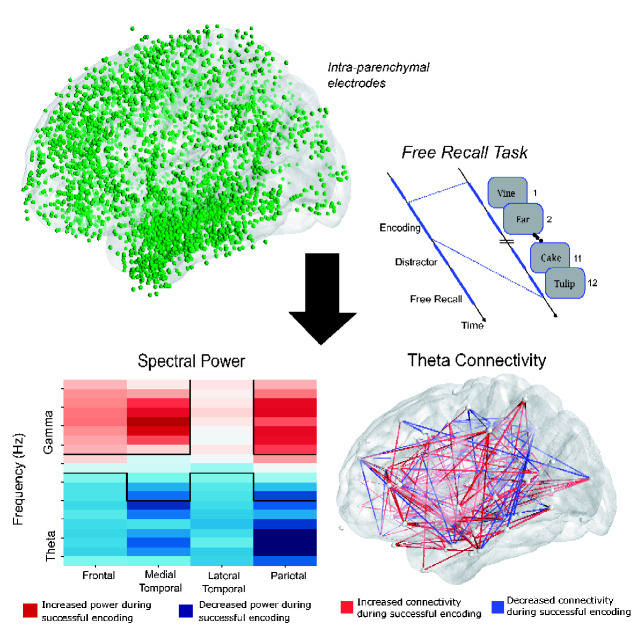 Graphical Abstract