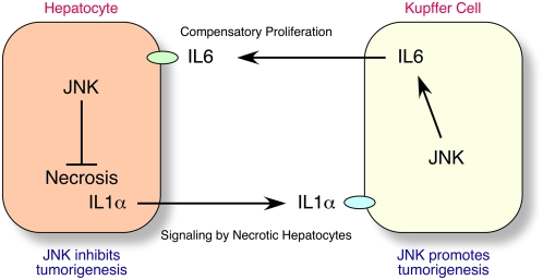 Figure 7.