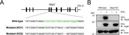 Fig. S9.