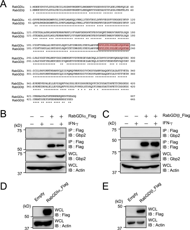 Fig. S1.