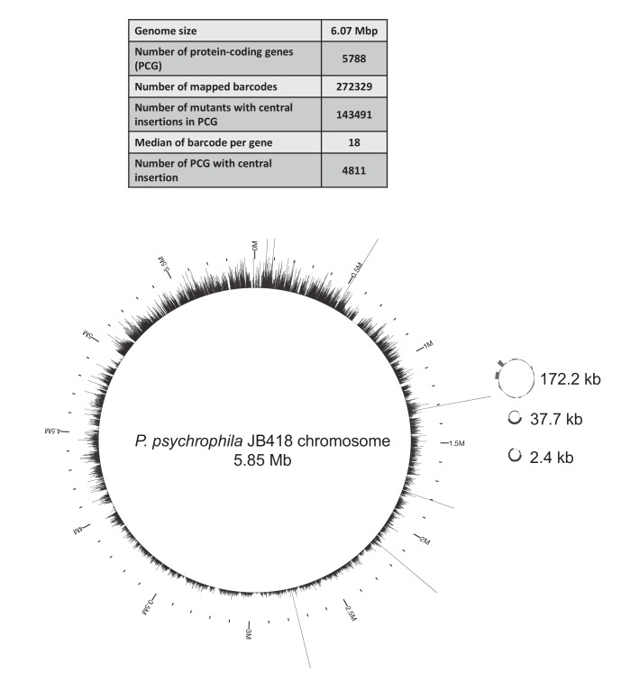 Figure 1—figure supplement 6.