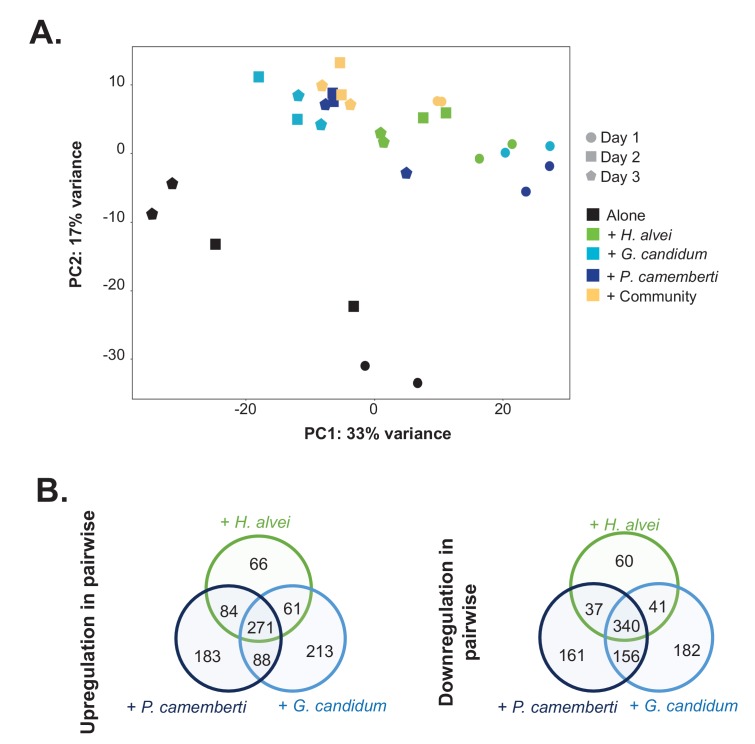 Figure 4—figure supplement 1.