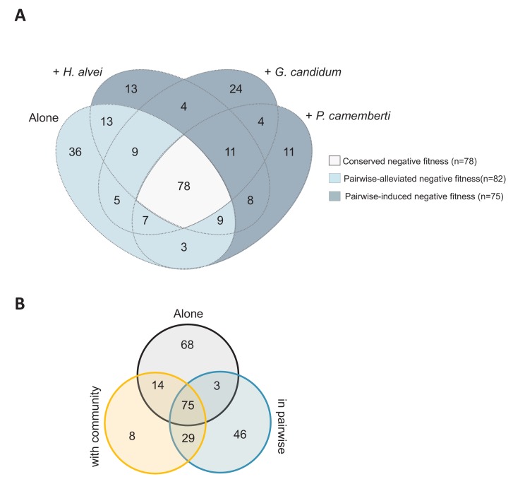 Figure 2—figure supplement 2.