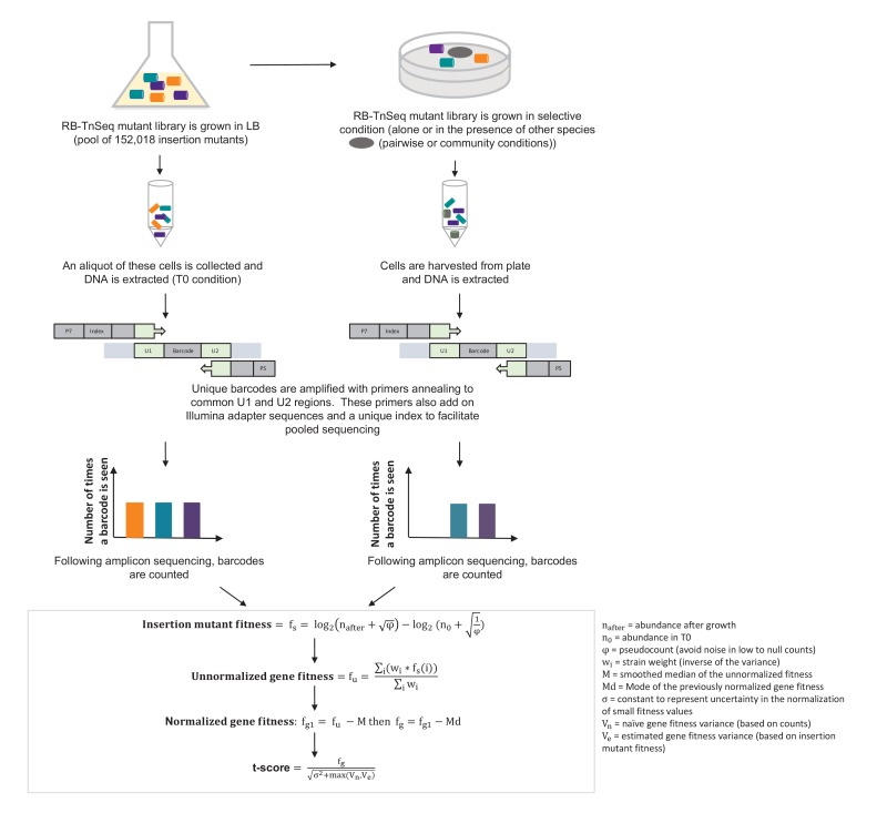 Figure 1—figure supplement 1.