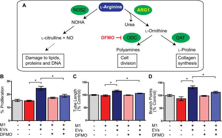 Fig. 9.