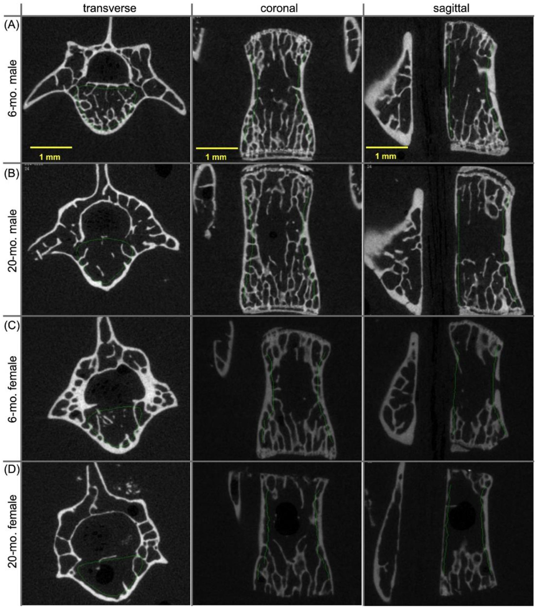 Figure 3.