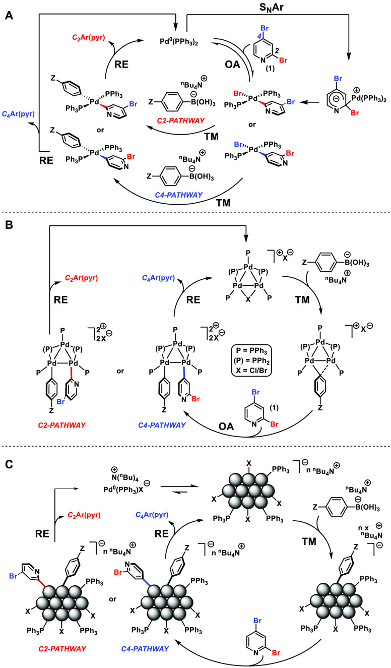 Scheme 9