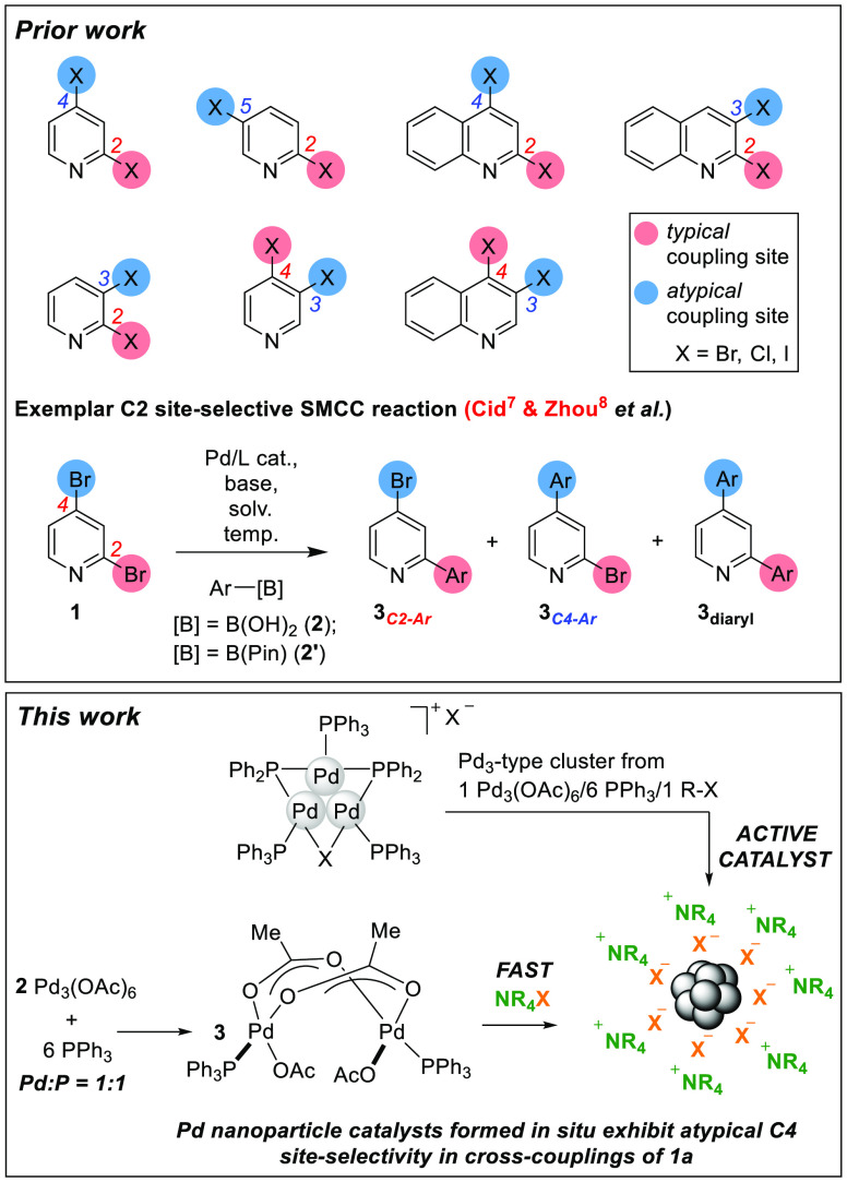 Scheme 1