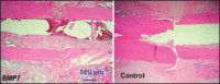 Figure 3a