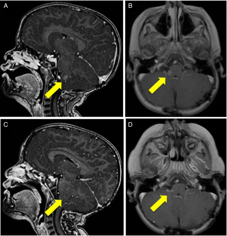 Fig. 1.