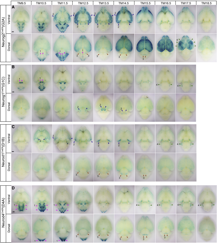 Figure 2