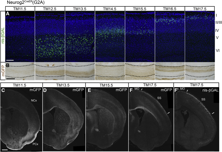 Figure 4