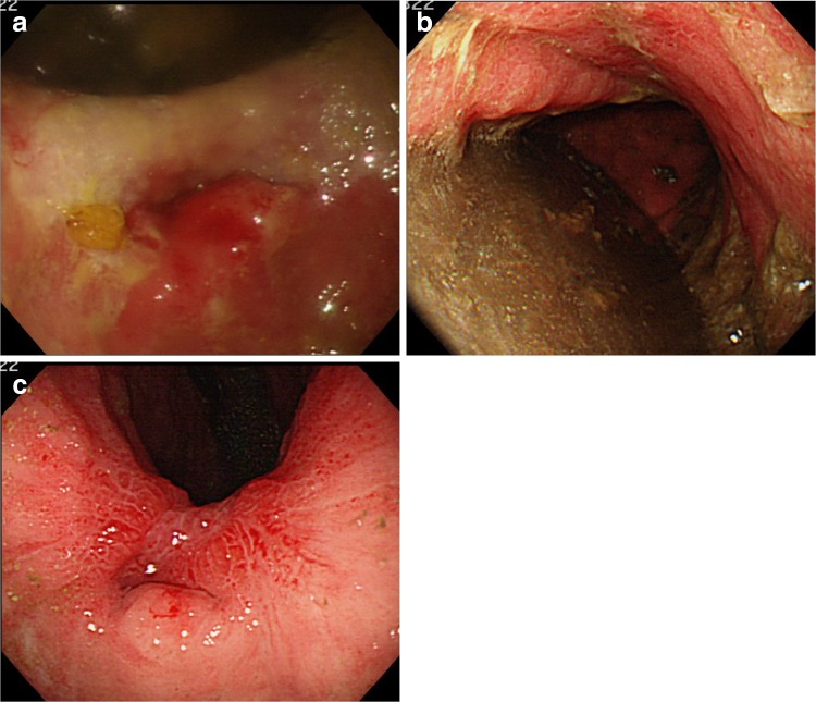 Fig. 2