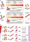 Fig. 11