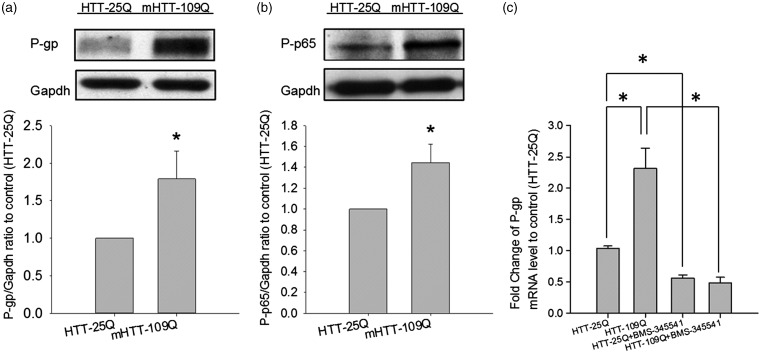 Figure 5.