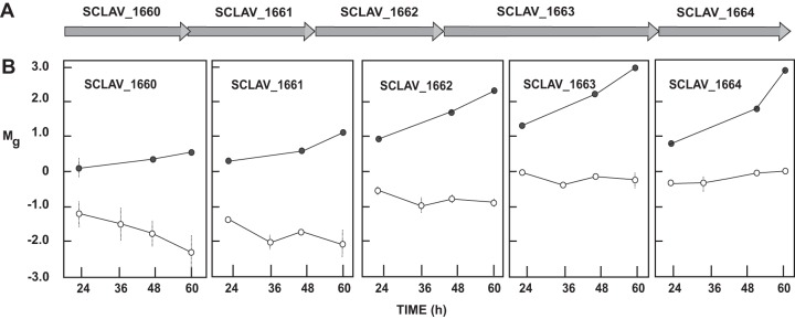 FIG 2