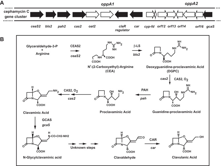 FIG 1