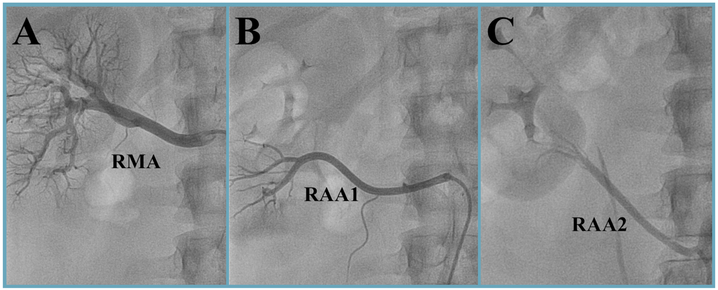 Figure 2: