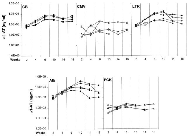 FIG. 1