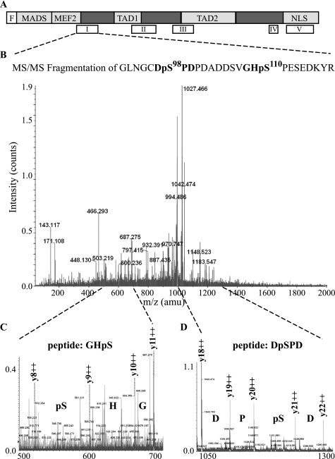 FIGURE 4.