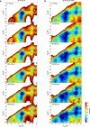 Figure 5—figure supplement 4.