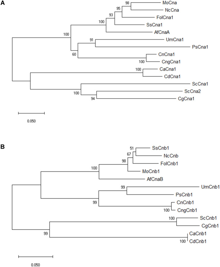 FIGURE 1