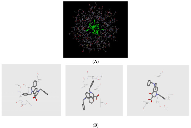 Figure 11