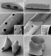 FIGURE 3