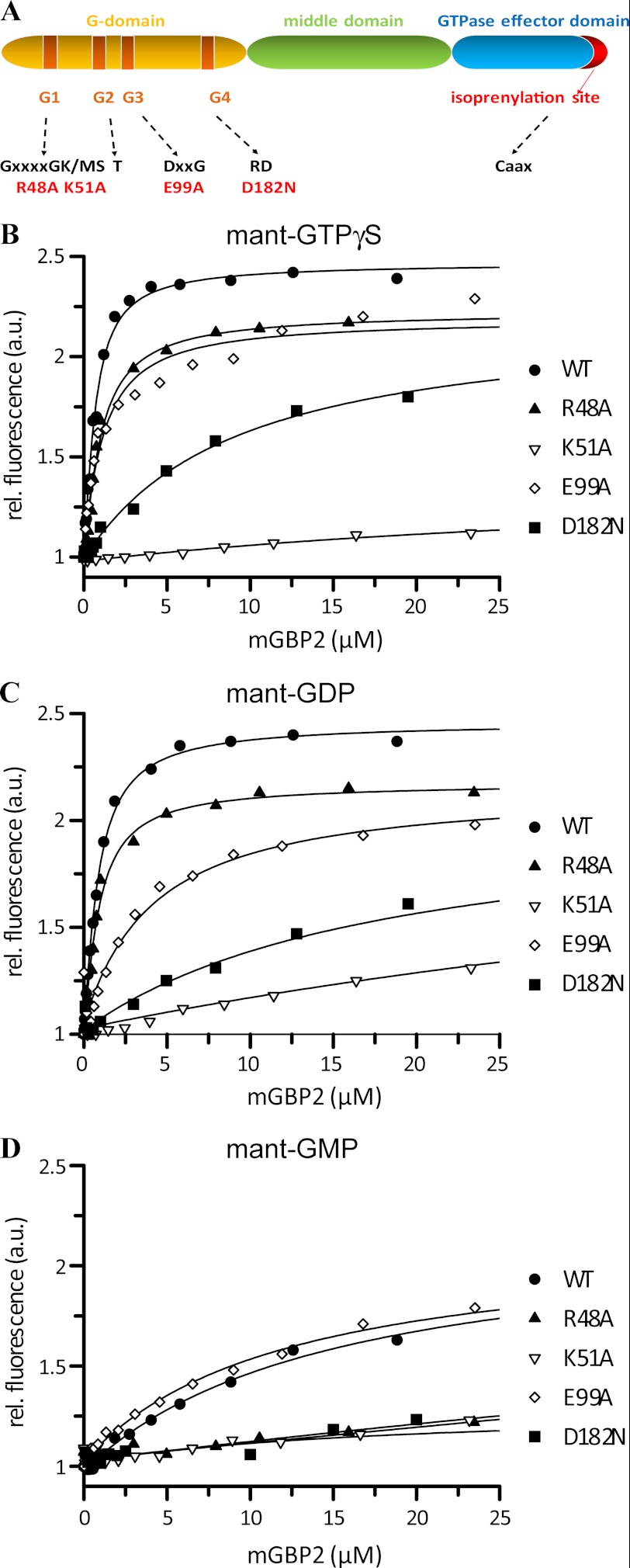 FIGURE 1.