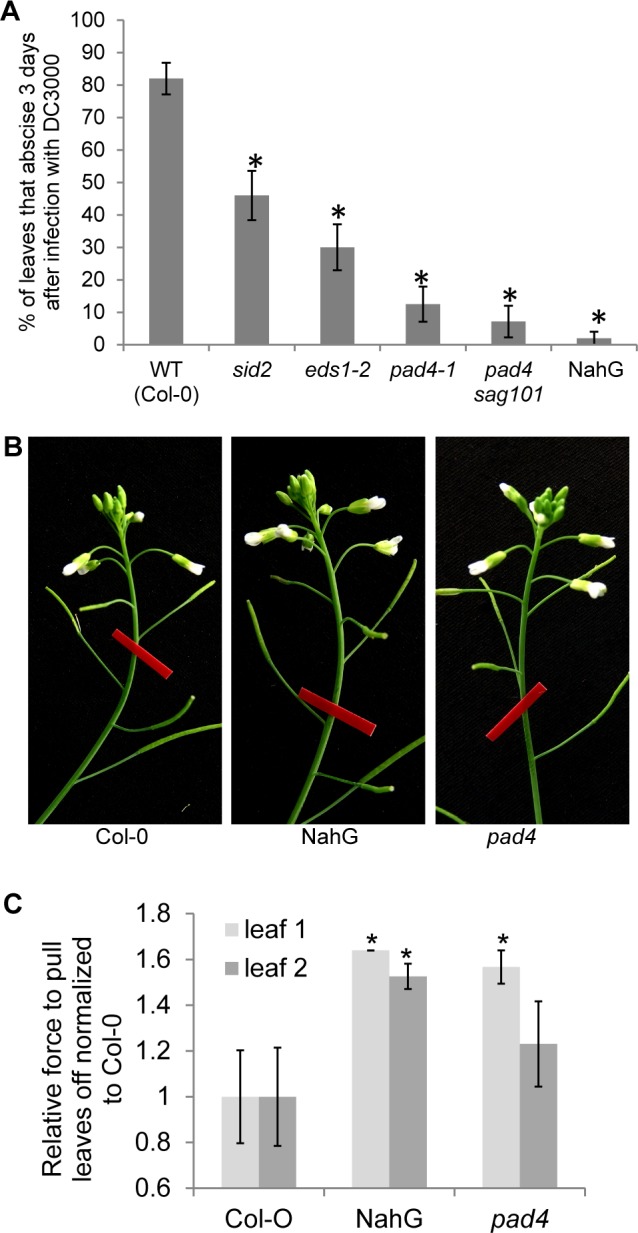 Fig 6