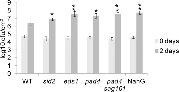 Fig 7