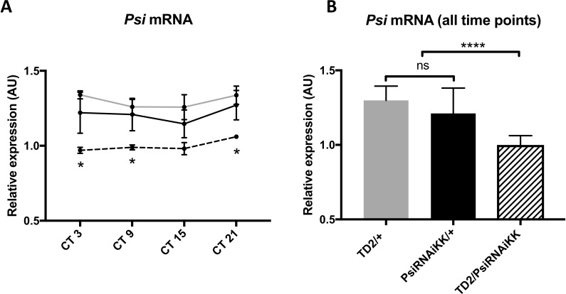 Figure 2—figure supplement 1.