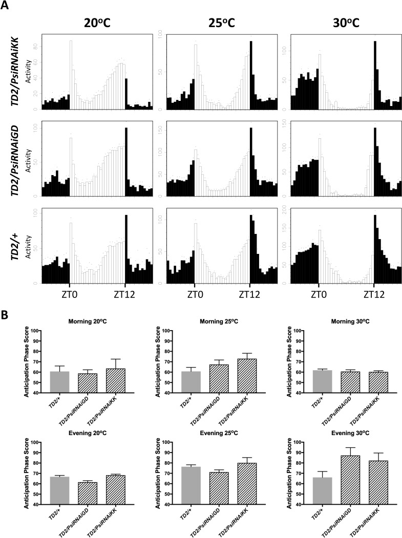 Figure 3—figure supplement 2.