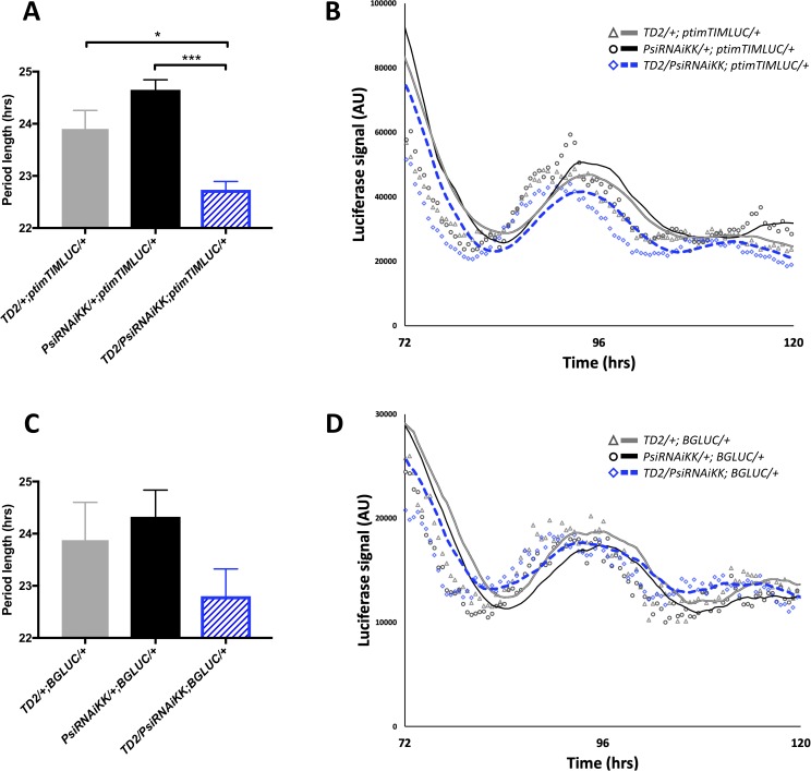 Figure 2—figure supplement 2.