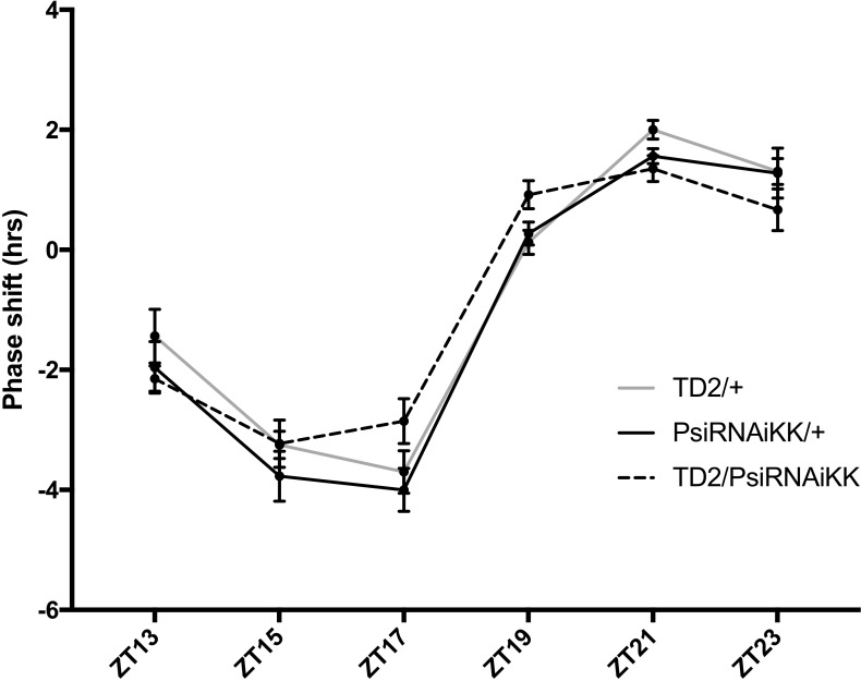 Figure 3—figure supplement 3.