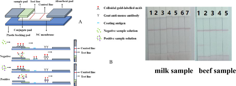 graphic file with name ao0c04422_0011.jpg