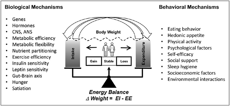 FIGURE 1.