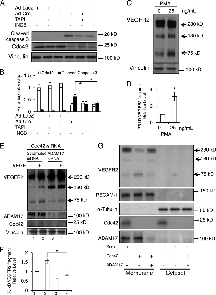 Fig 13