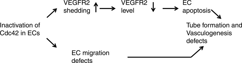 Fig 16