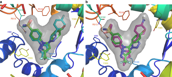 Fig. 8