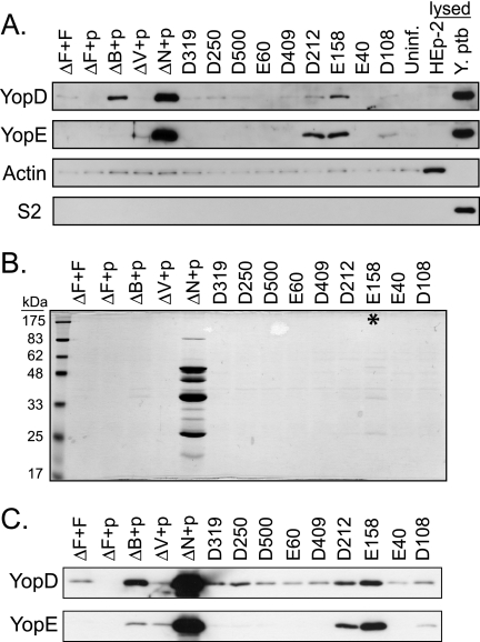 FIG. 5.