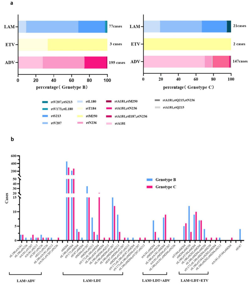 Evaluation Of Genotype Characteristics And Drug Resistance Mutations In 