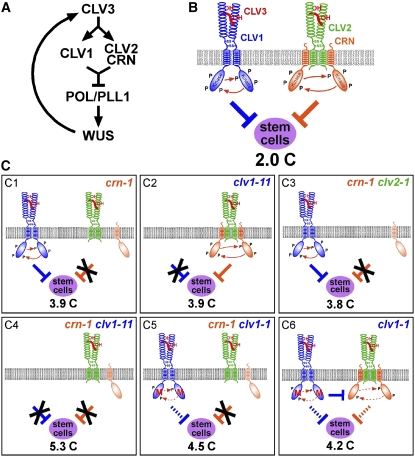 Figure 6.